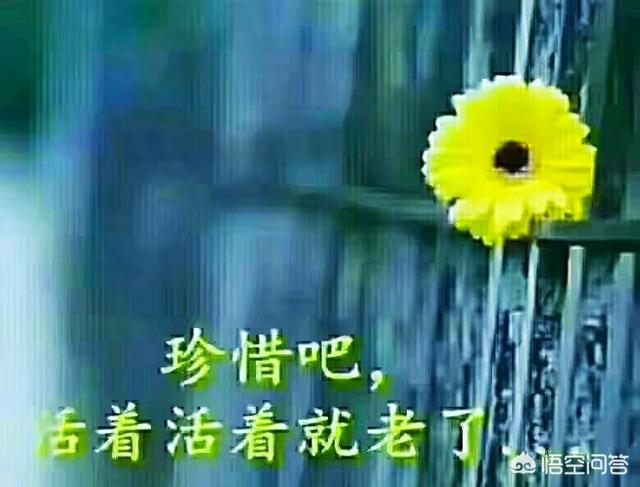 有哪些句句心痛的伤感短句子？