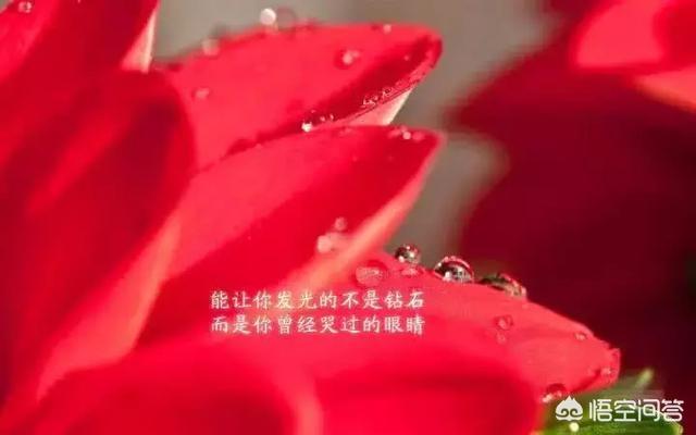 有哪些句句心痛的伤感短句子？