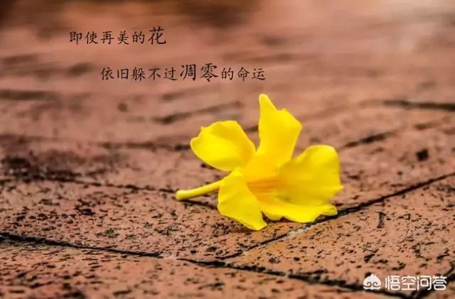 有哪些句句心痛的伤感短句子？
