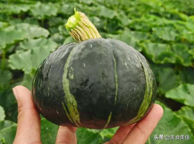 贝贝小南瓜怎么蒸？