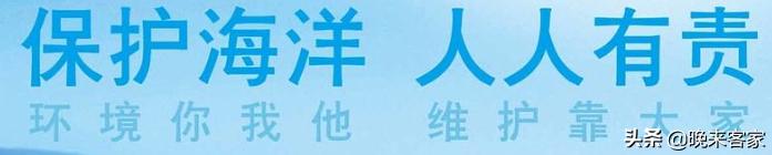 保护海洋宣传语？
