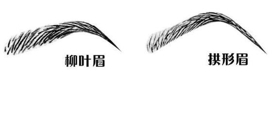 五官中眉毛有什么作用