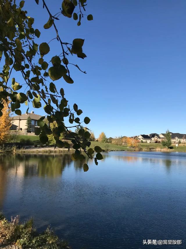 哪一句话可以让你瞬间想起农村生活的场景？