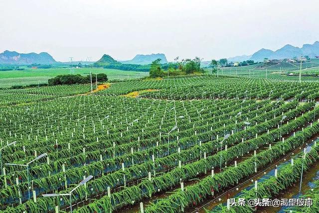 哪一句话可以让你瞬间想起农村生活的场景？