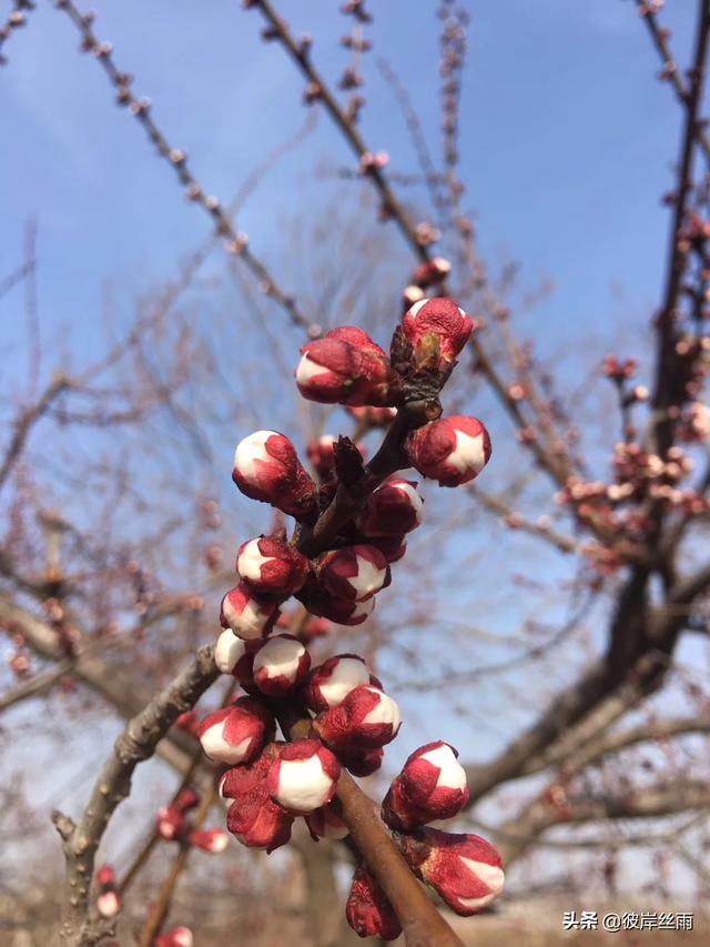 不被人理解，自己又无法说明，是一种什么样的感受？
