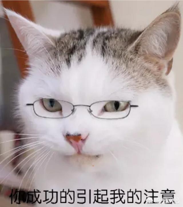 如何做招商广告？