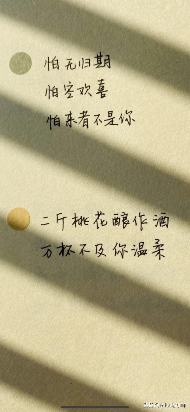 有没有什么小众一点的温柔情话推荐？