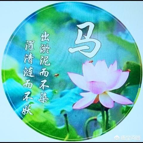 新零售与电商区别在哪里？