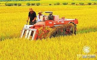 高速发展的电商经济和原始的农村经济相碰撞，是否能擦出火花？