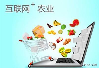 什么是新农业电商？你如何理解的？