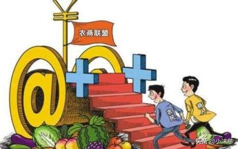 什么是新农业电商？你如何理解的？