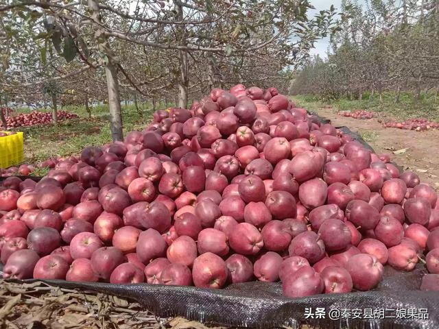 农村电商如何发展，普通人从哪里入手？
