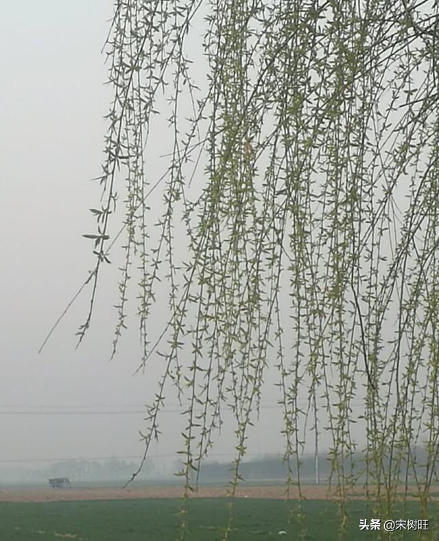 怎么做农业电商，可以指导下吗？