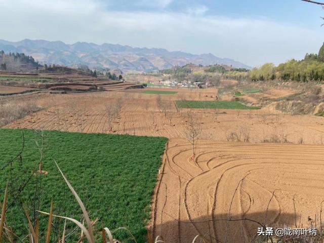 我生活在农村，想做电商应该先从哪里做起呢，从哪方面入手呢？