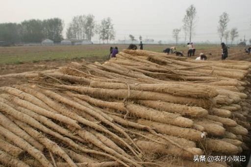 我农村老家盛产山药怎么入驻电商平台？