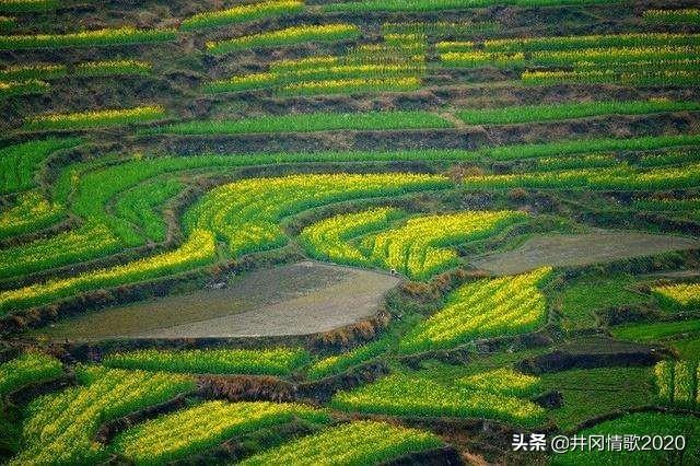 为什么现在很多工厂都搬去江西？