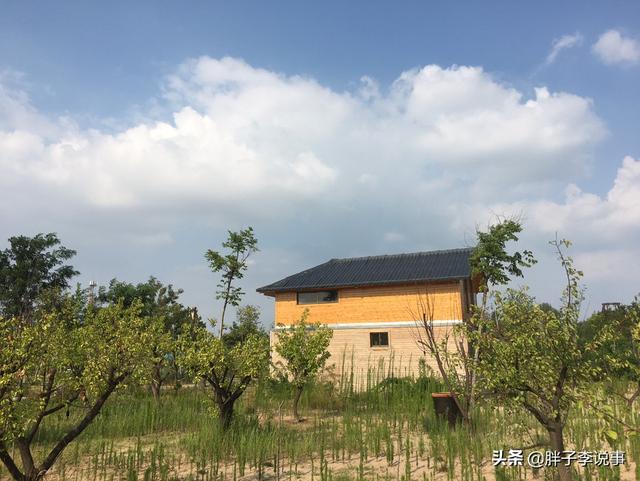 菏泽与济宁以后谁发展的更好？