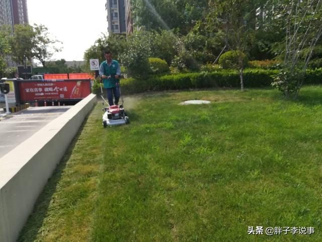 菏泽与济宁以后谁发展的更好？