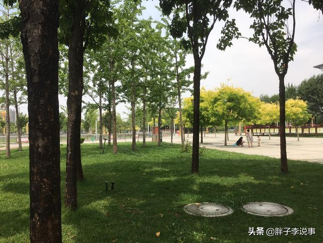 菏泽与济宁以后谁发展的更好？
