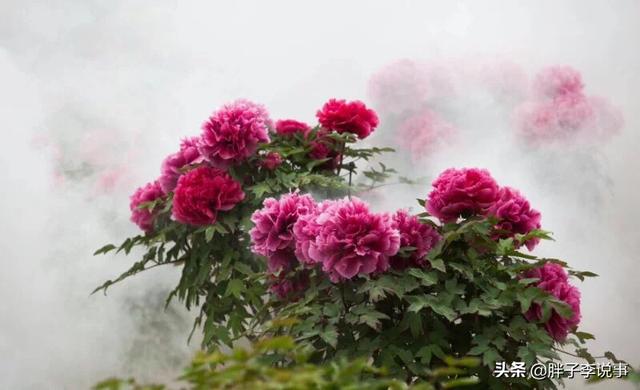 菏泽与济宁以后谁发展的更好？
