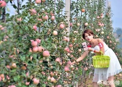 果农的农产品是卖给电商好，还是卖给客商好？如何赚钱？