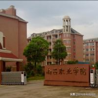 小孩被南昌职业大学电子商务专业录取，前景怎么样？