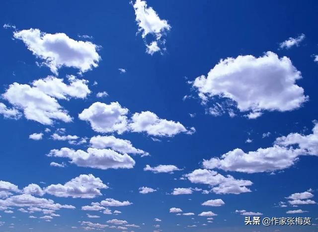 如何看待淘宝启动气象研究计划，天气对电商行业有什么影响？