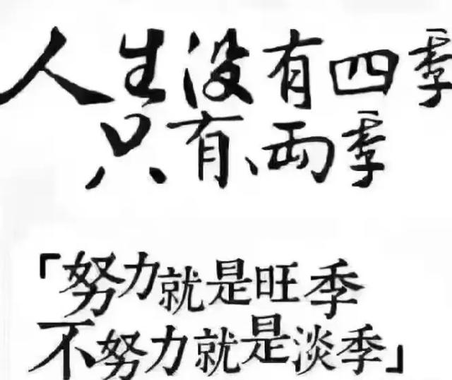 个人做跨境电商需要多少资金？哪个平台比较好做？