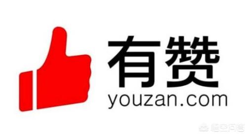 杭州有赞这家公司怎么样？