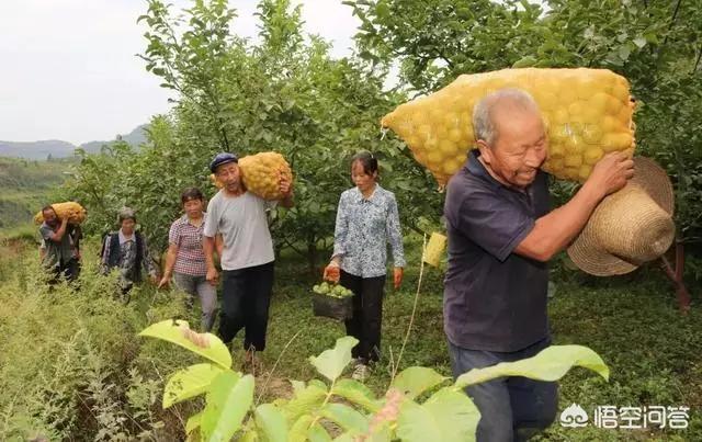 甘肃陇南发展得怎么样？