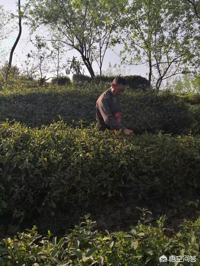学电子商务要具备什么条件？