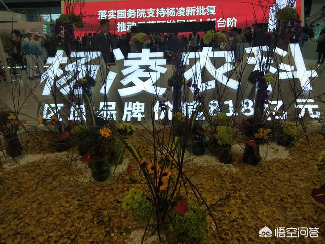 杨凌以后发展怎么样？