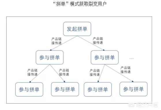 增长与亏损齐飞，号称“中国第二大电商平台”的拼多多，如何拼出未来？