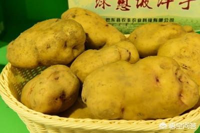 农村电商网店如何快速打造爆款农产品？