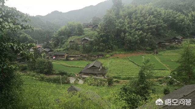 三农卖货平台都有哪些靠谱的推荐？