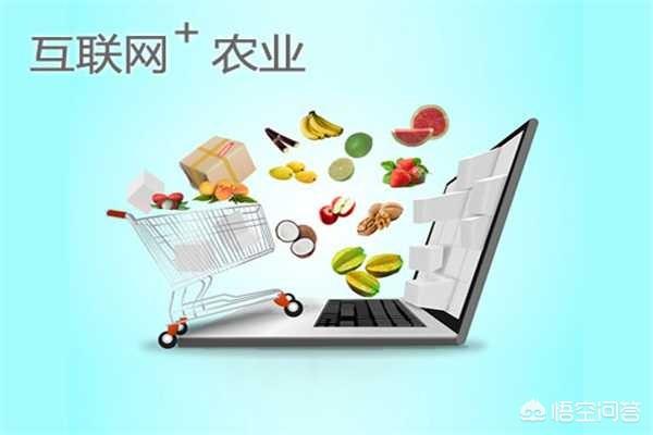 生鲜电商的出路到底在哪？
