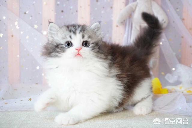 做电商是不是已经过了风口？未来如果想创业做电商还有前景吗？