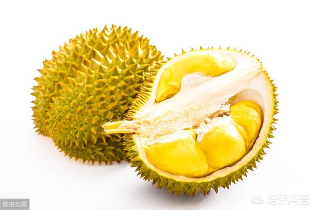 海南三亚能种榴莲吗？会结果吗？