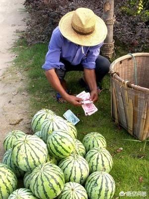 电商入农村，如何利用农村电商赚钱？