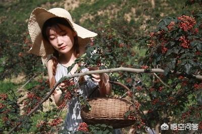 电商入农村，如何利用农村电商赚钱？