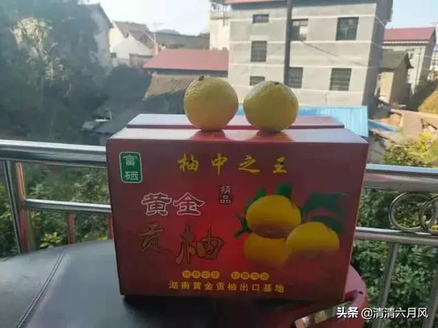 果农如何联系上电商？