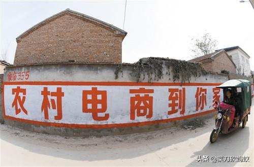 蔬菜电商怎么做？