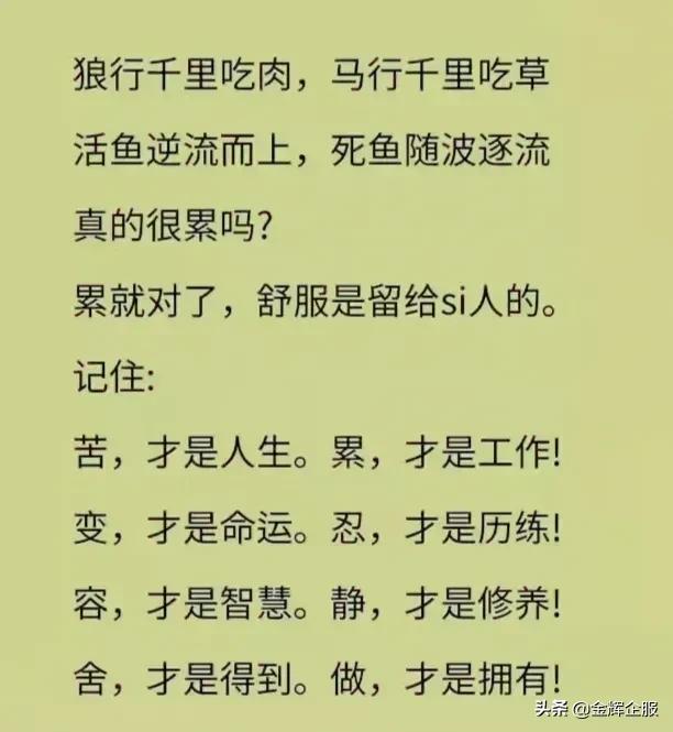 2022年创业做什么项目靠谱？