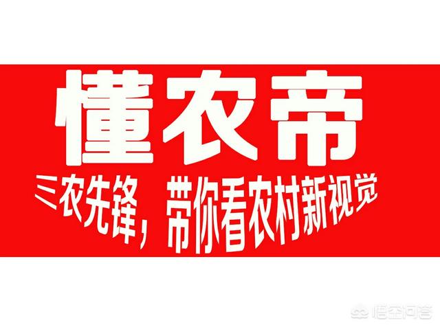 有的人说新农村经济的农村电商一直不温不火，这是为什么？电商进入农村的出入口又在哪里？