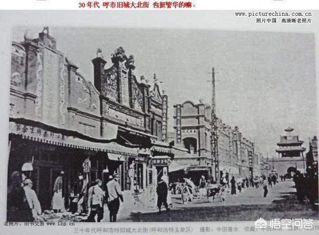 呼和浩特为什么叫青城？