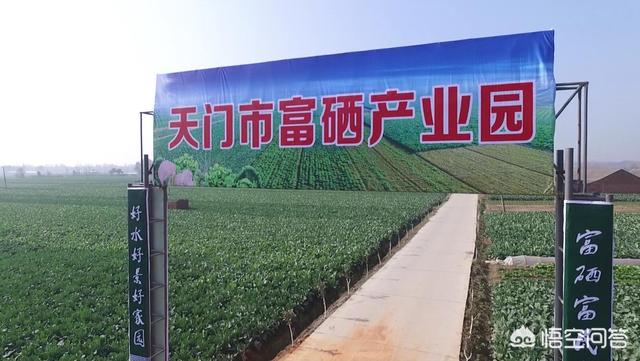 为什么好多人问现在做电商，晚不晚？