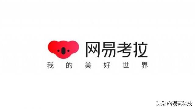 现在比较火的社交电商平台有哪些？火在哪里？