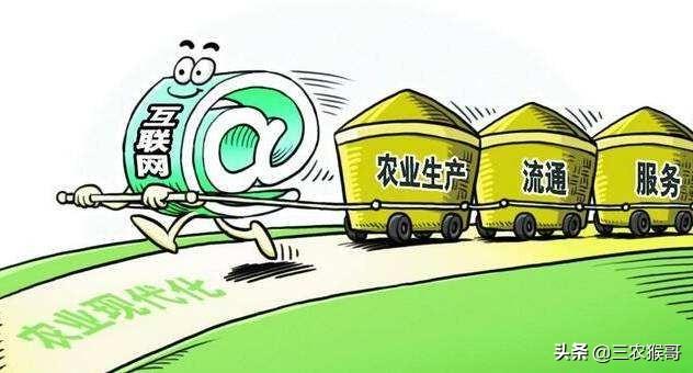 农村电商要如何做大做强？