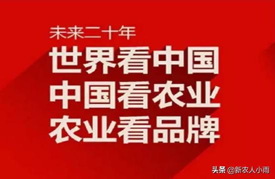 今年种了200亩花生，有没有好的办法销售，找电商可以吗？