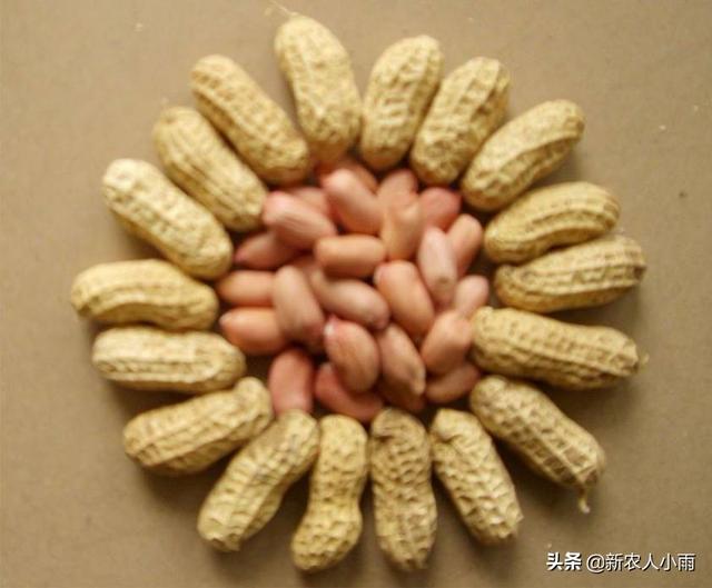 今年种了200亩花生，有没有好的办法销售，找电商可以吗？